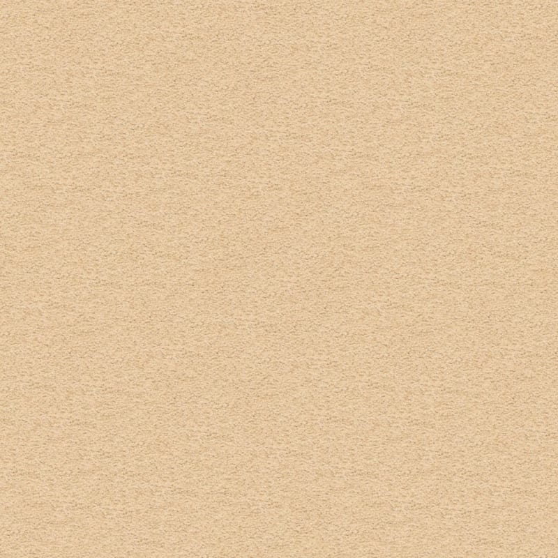 Knockout carpet by Masland