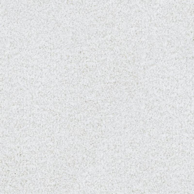 St. Augustine carpet by Masland