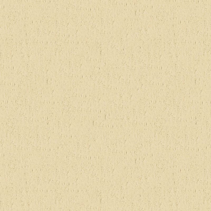 Santa Barbara carpet by Masland
