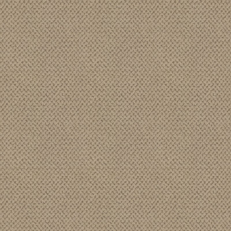 La Parade carpet by Masland