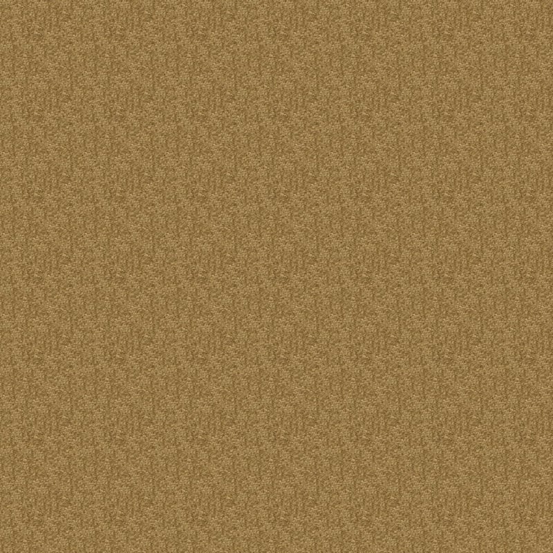 Morgan Bay carpet by Masland