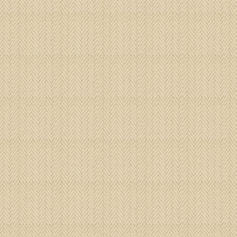 Distinguished carpet by Masland