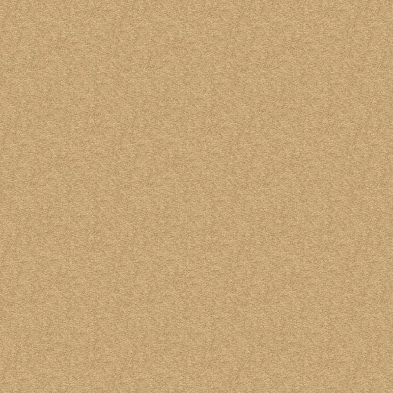 Patriot carpet by Masland