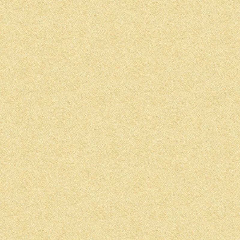 Vero Beach carpet by Masland