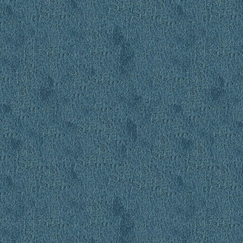 Santa Barbara carpet by Masland