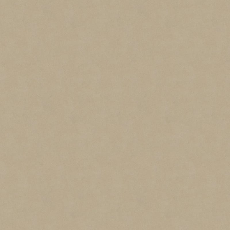 Silk Touch carpet by Masland