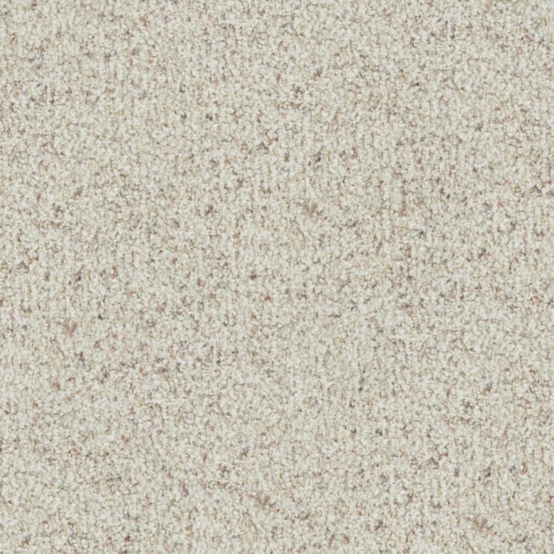 St. Augustine carpet by Masland