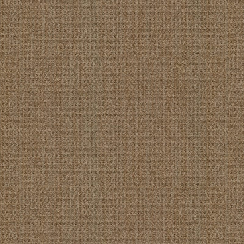Winslow carpet by Masland