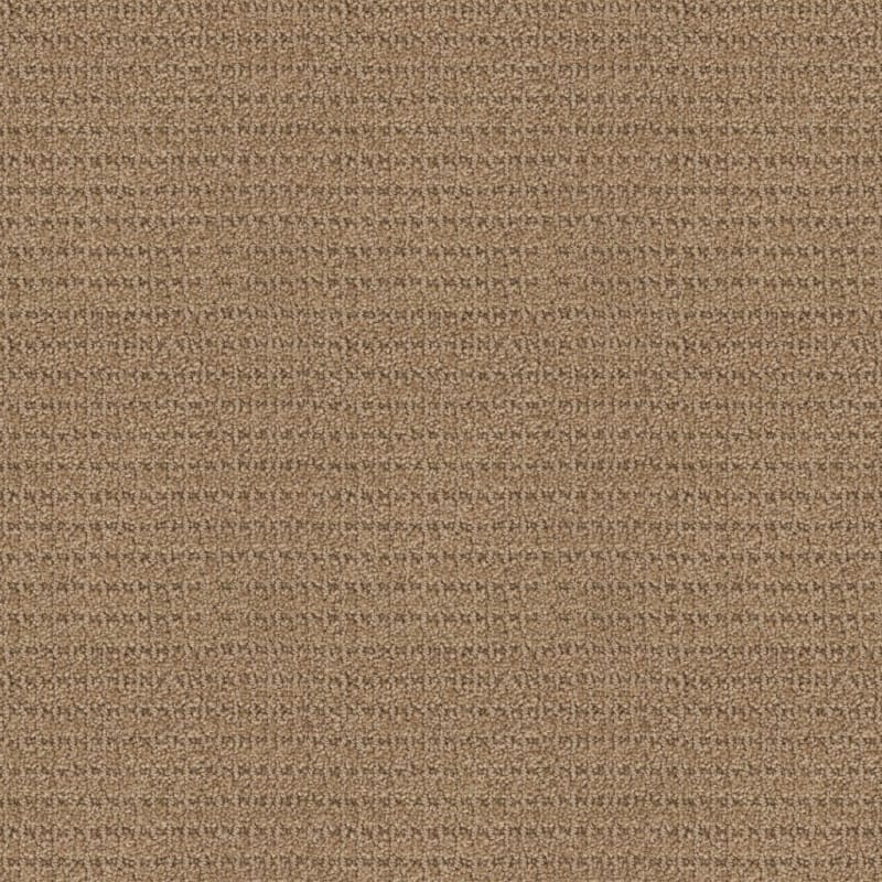 Defined carpet by Masland
