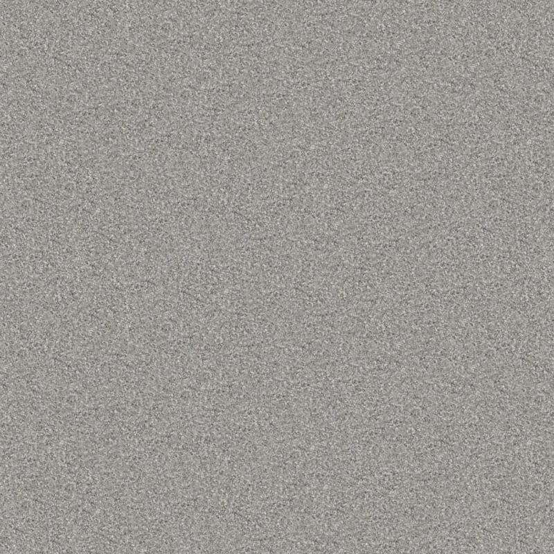 Tracker carpet by Masland