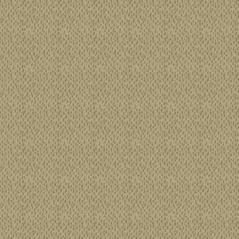 Seurat carpet by Masland