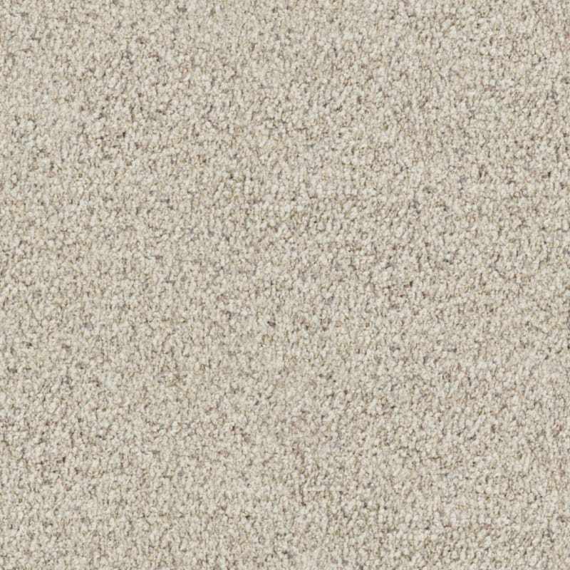 St. Augustine carpet by Masland