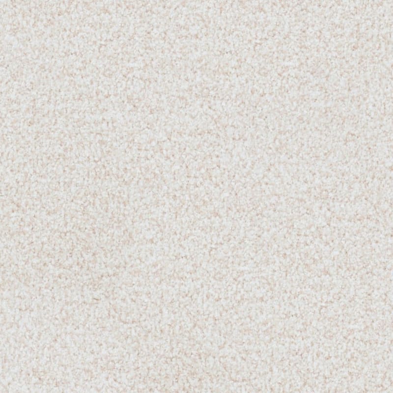 St. Augustine carpet by Masland