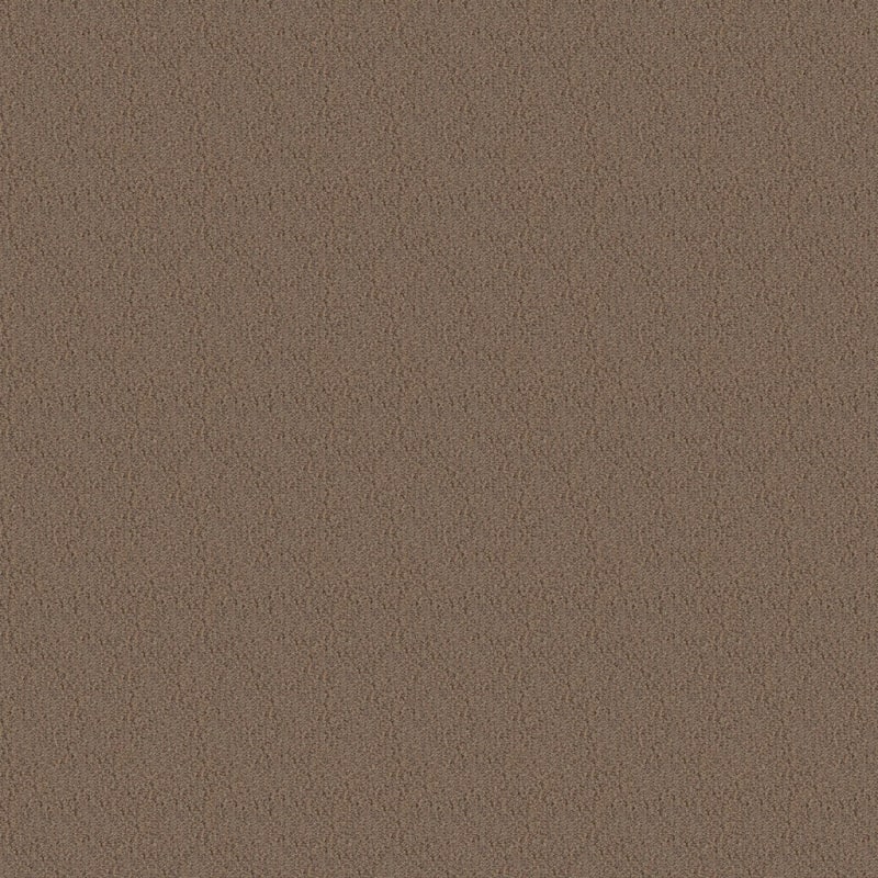 Panache carpet by Masland