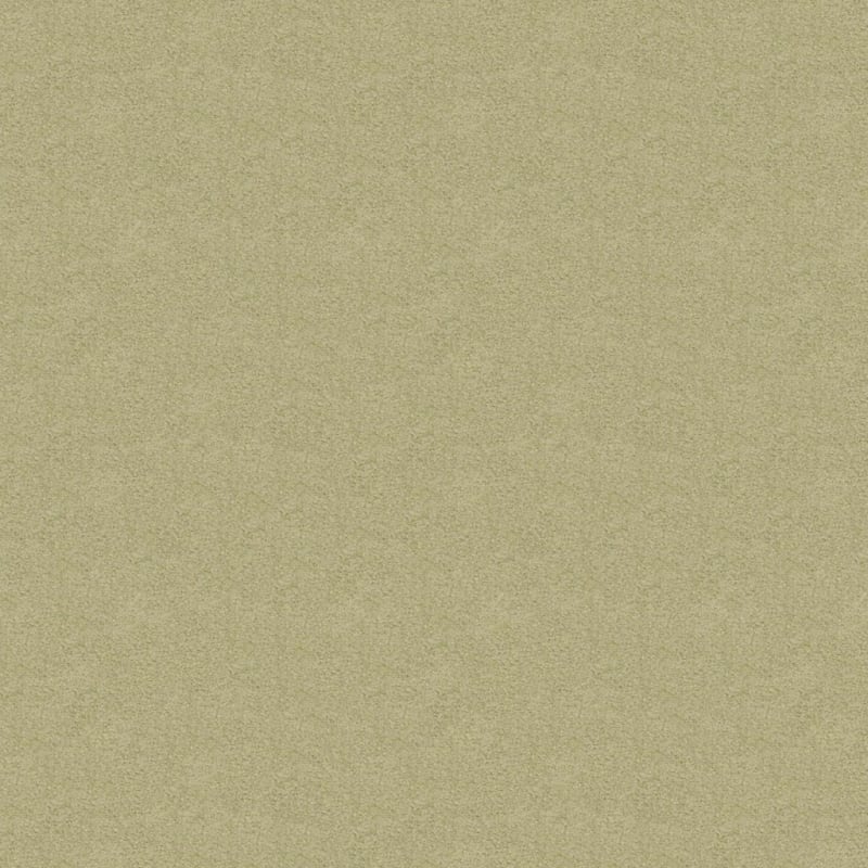 Americana carpet by Masland