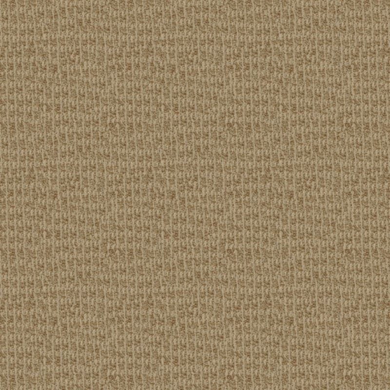 Hudson Valley carpet by Masland