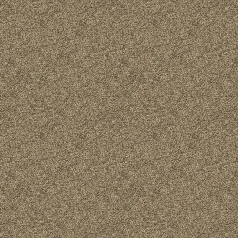 Vero Beach carpet by Masland