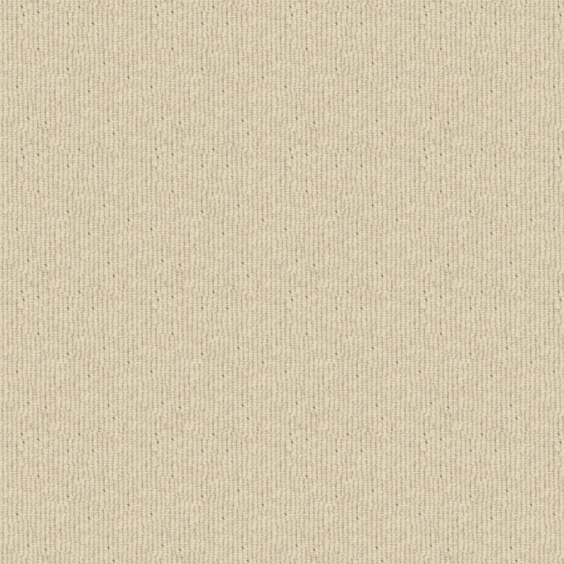 Beaucoup carpet by Masland