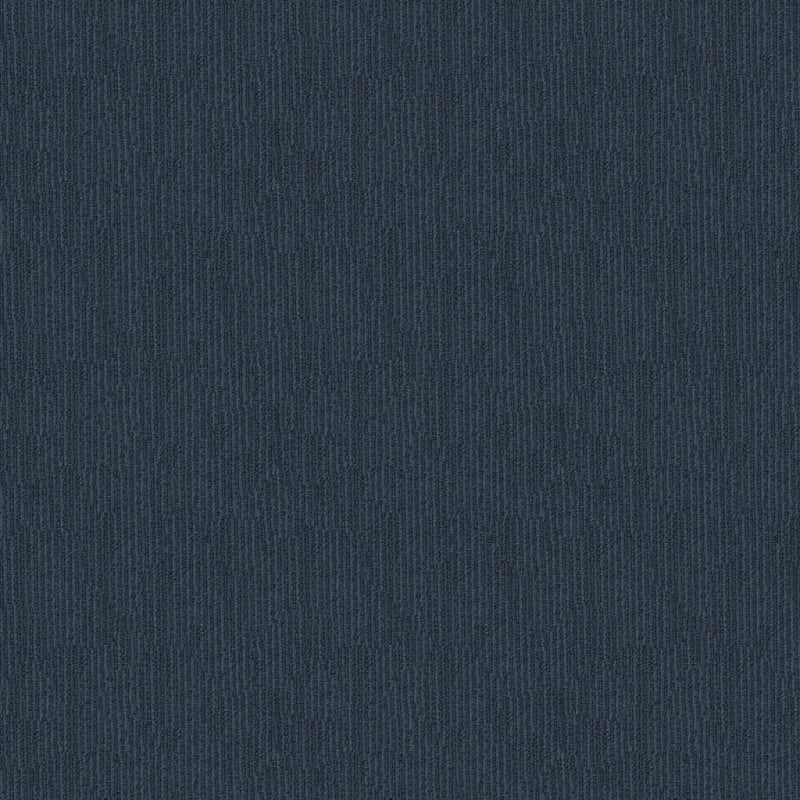 Belmond carpet by Masland