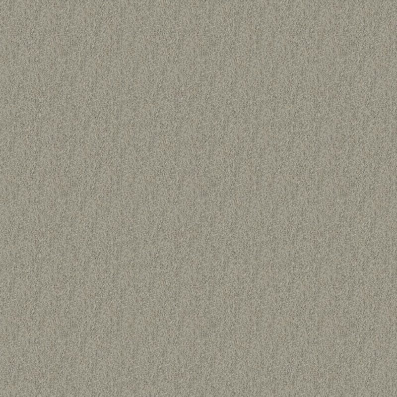 Oceanside carpet by Masland