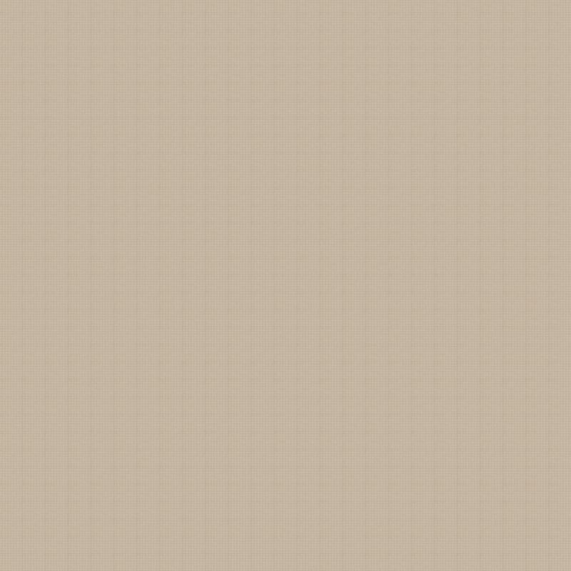 Steadfast carpet by Dixie Home