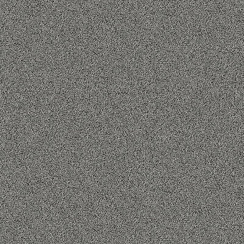 Hunter carpet by Masland