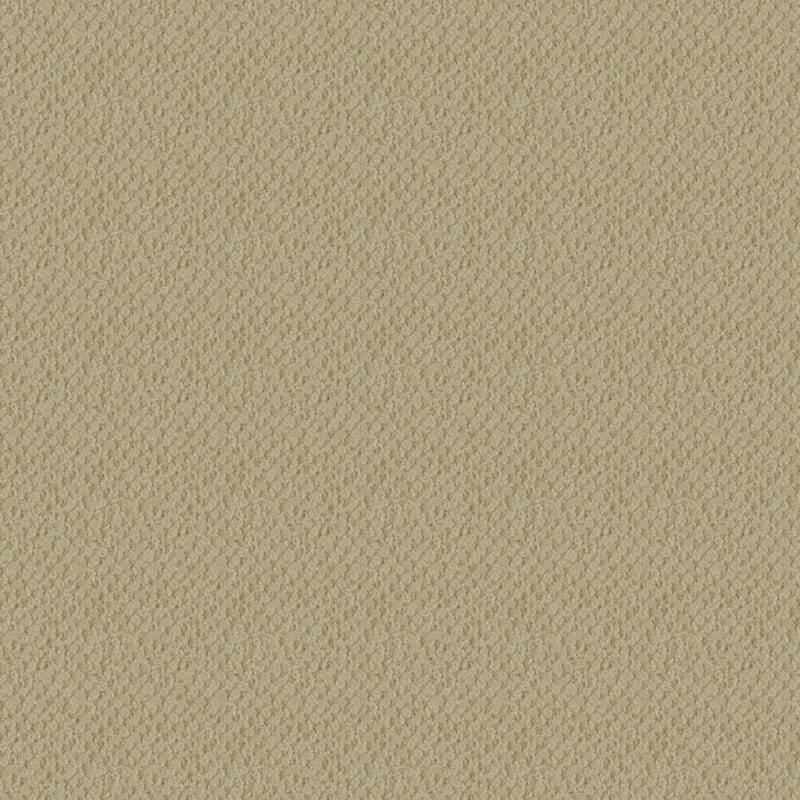 Seurat carpet by Masland