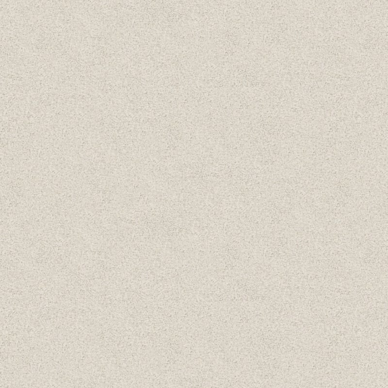Tracker carpet by Masland