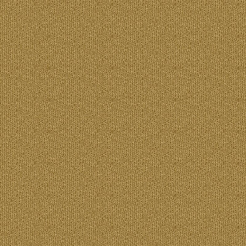 Pinehurst carpet by Masland