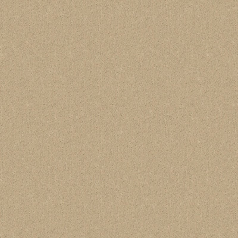 Nature'S Essence carpet by Masland