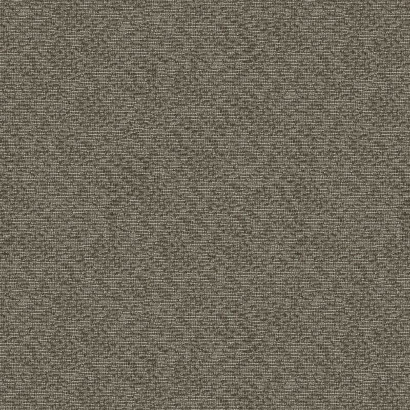 Winston carpet by Masland