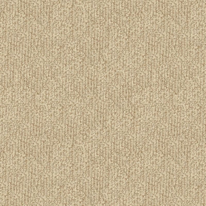 Mesa Verde carpet by Masland