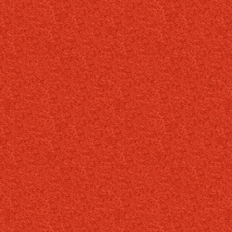 Vero Beach carpet by Masland