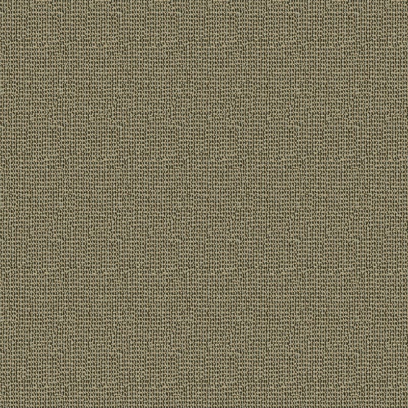 Tresor carpet by Masland