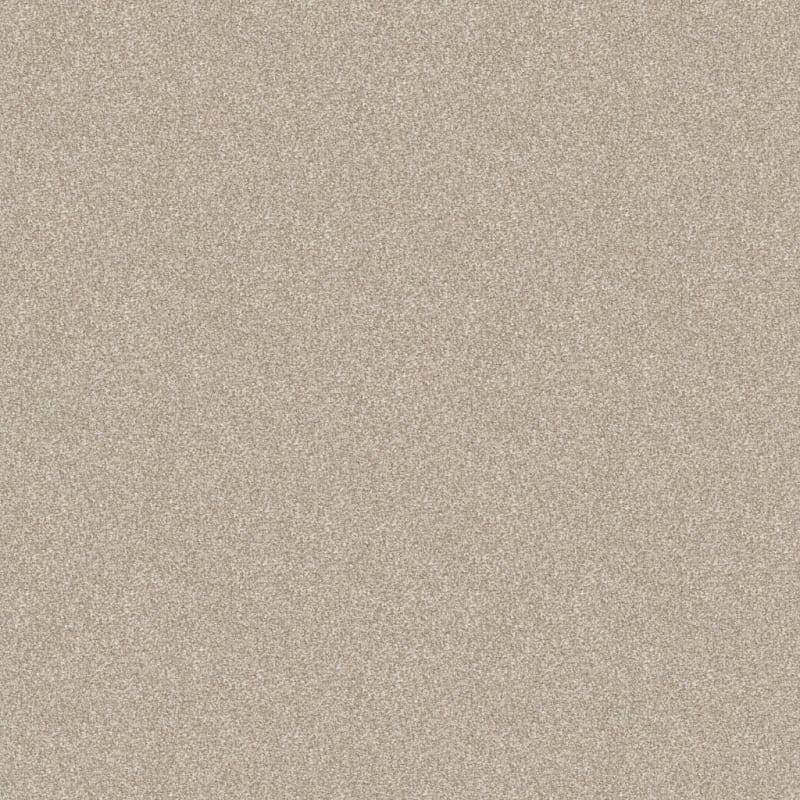 Hunter carpet by Masland