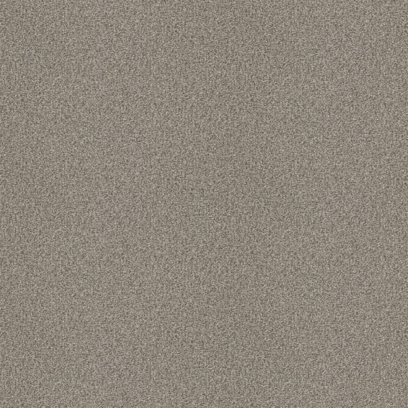Hunter carpet by Masland
