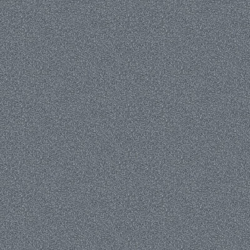 Hunter carpet by Masland