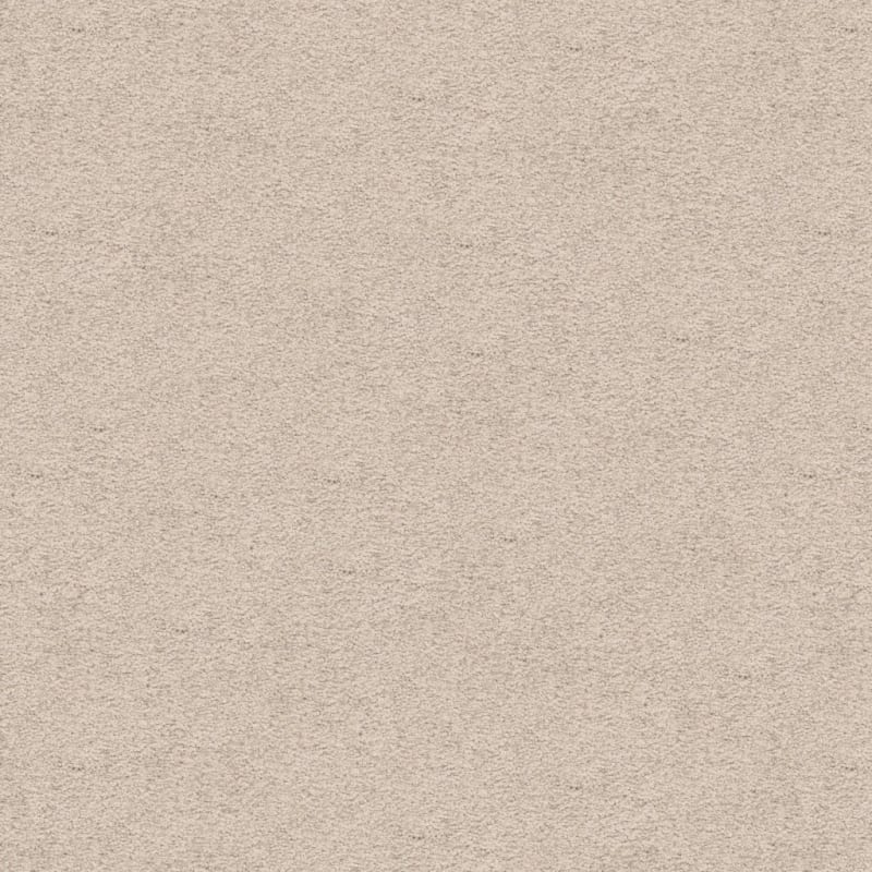 Knockout carpet by Masland