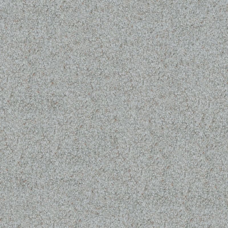 Boca Raton carpet by Masland