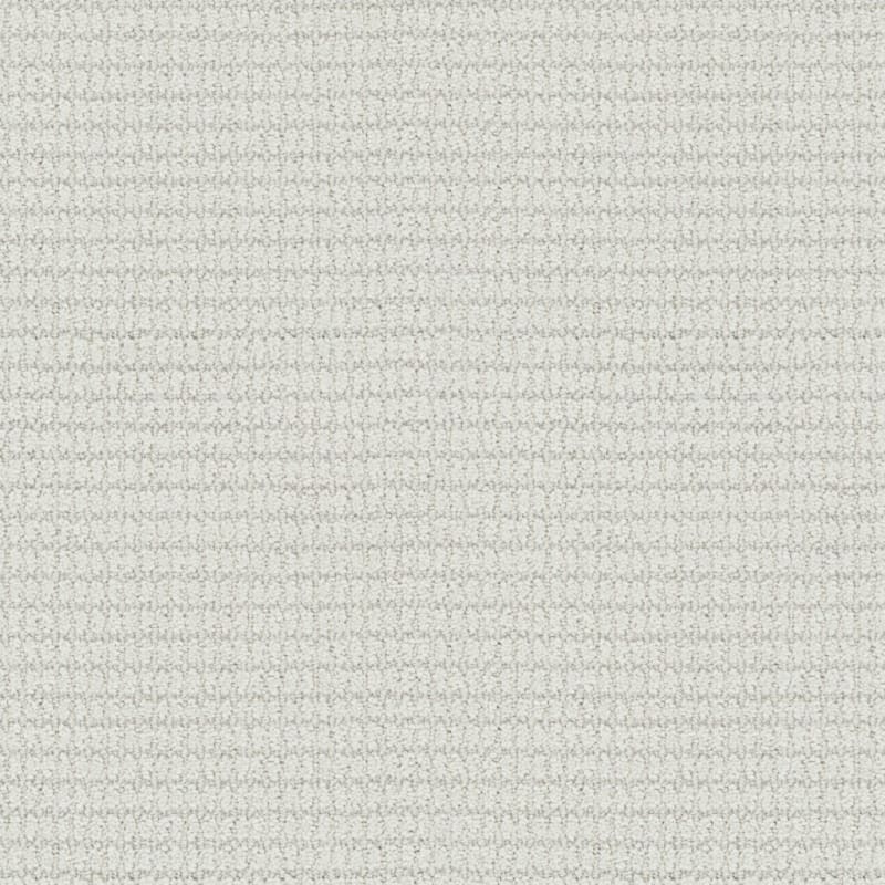 Defined carpet by Masland
