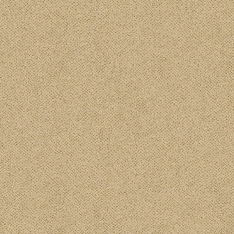Montauk carpet by Masland