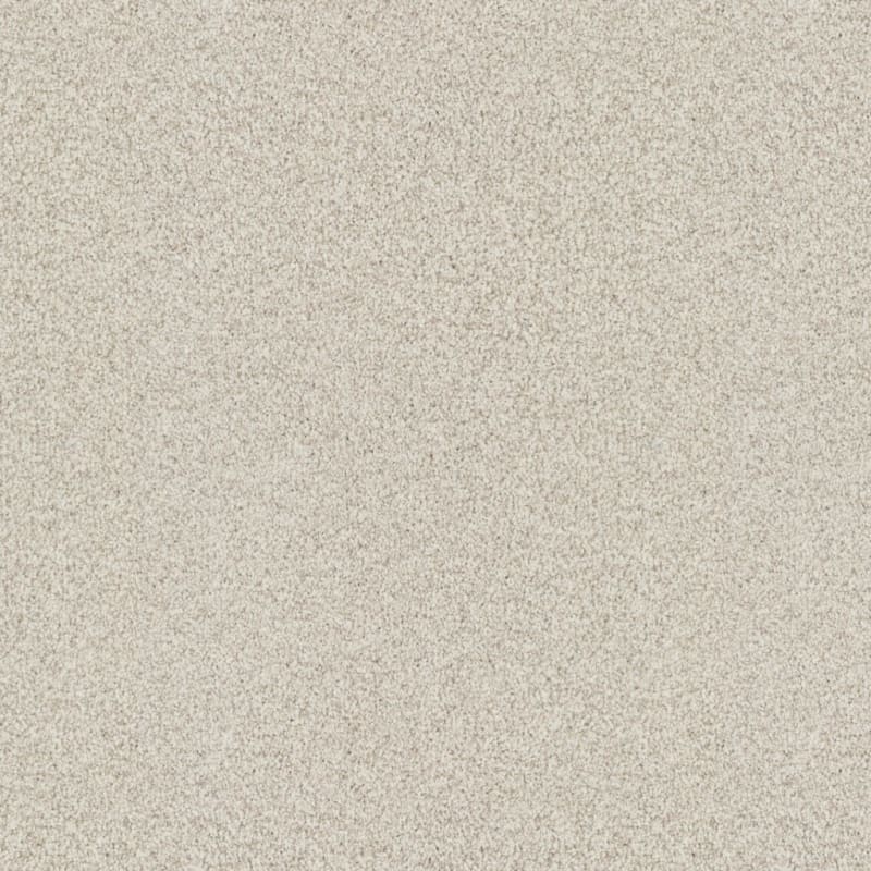 Santa Rosa carpet by Masland