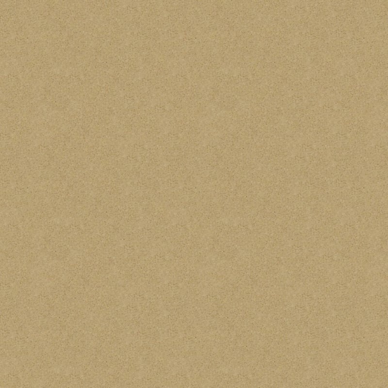 Embrace carpet by Masland