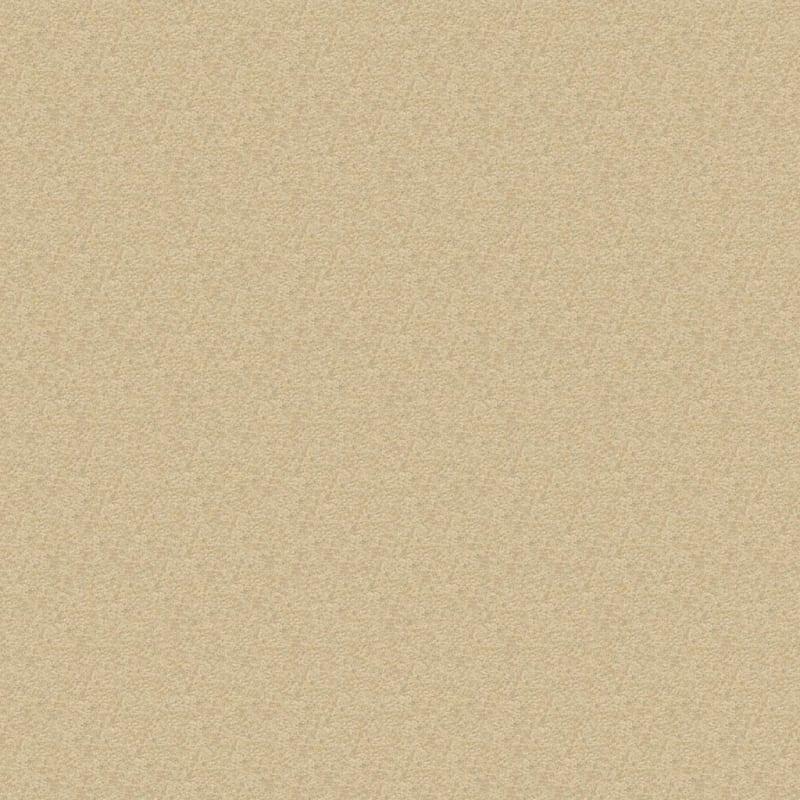 Patriot carpet by Masland