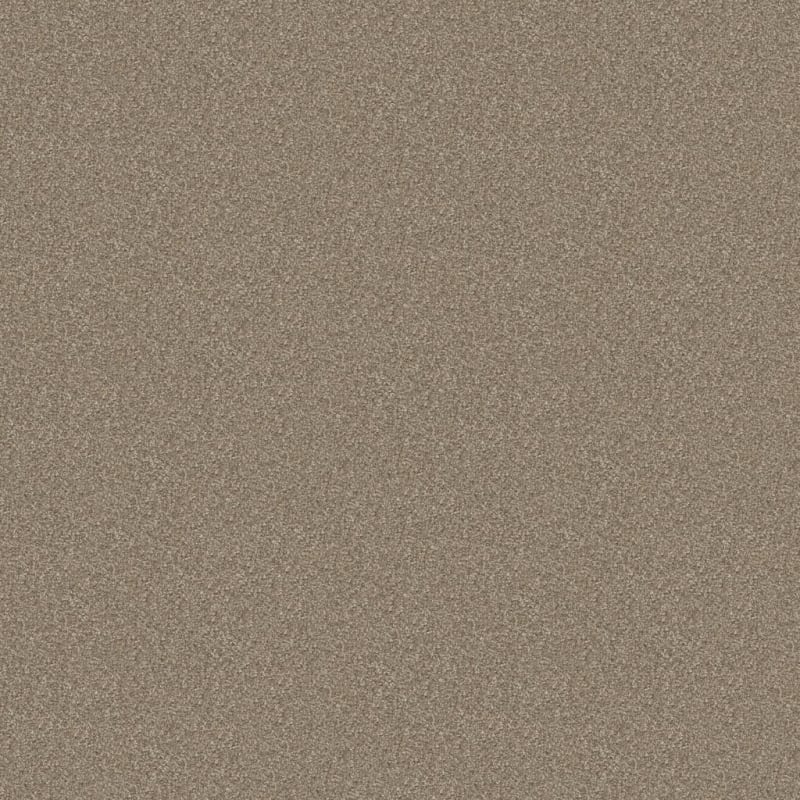 Hunter carpet by Masland