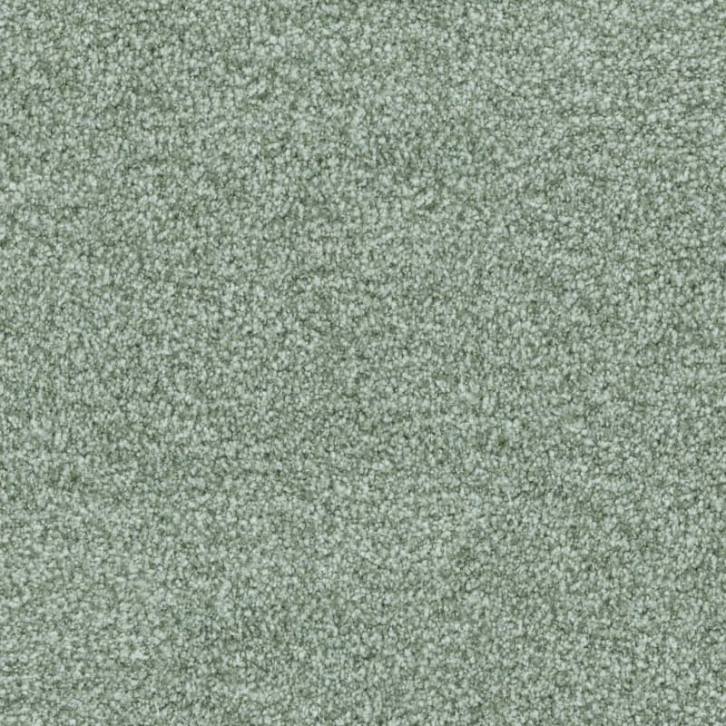St. Augustine carpet by Masland