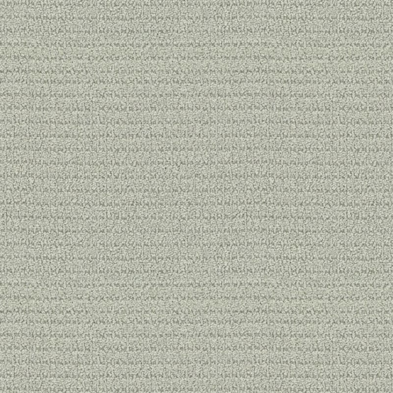 Defined carpet by Masland