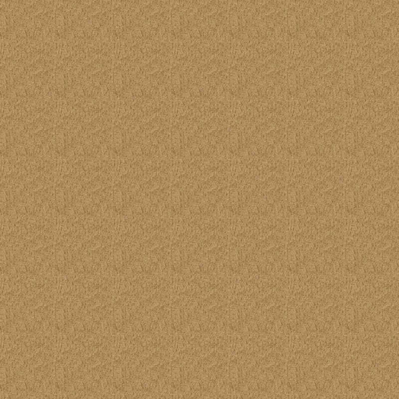 Casa Grande carpet by Masland