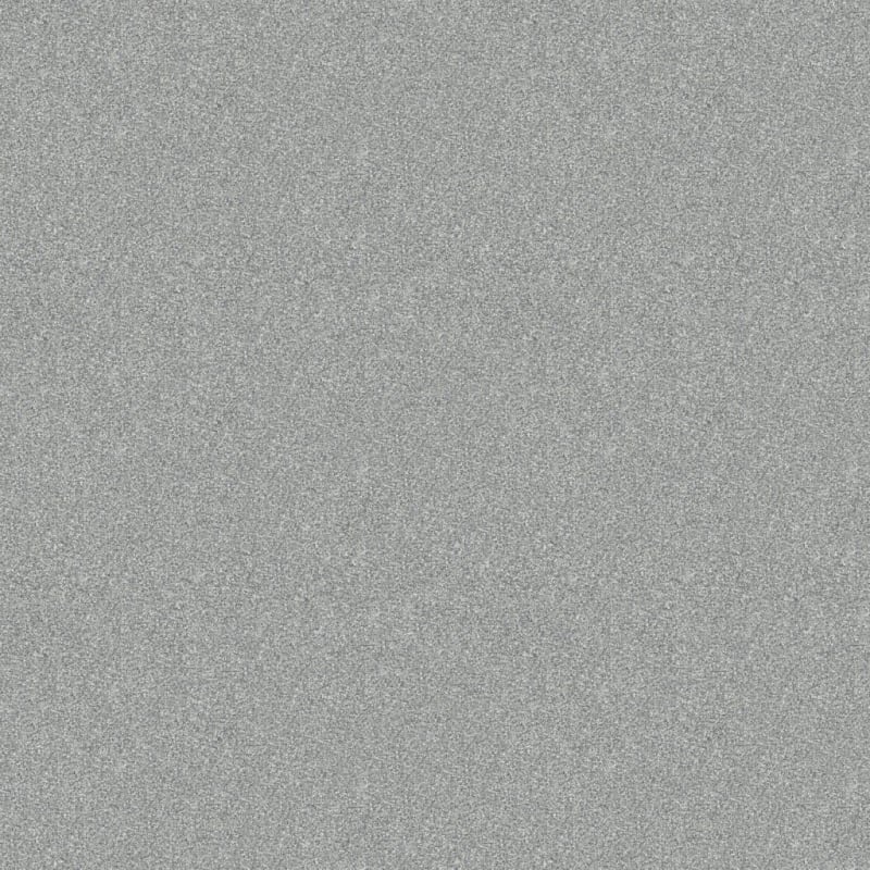 Hunter carpet by Masland