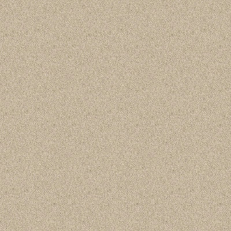 Oceanside carpet by Masland
